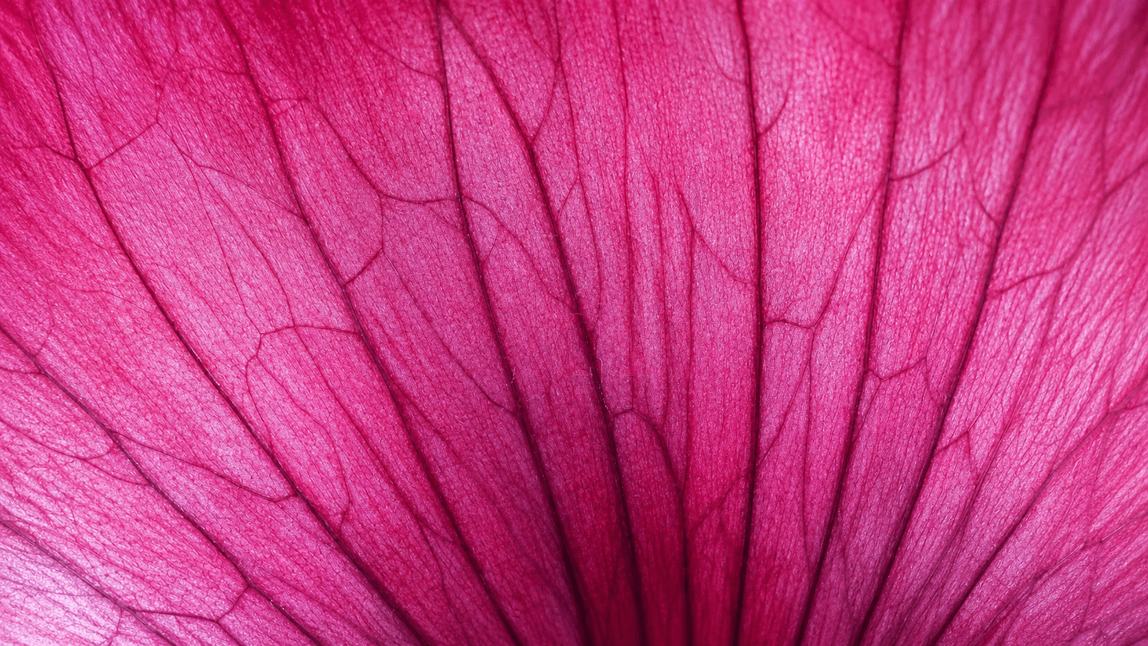 Sobre Aromatic